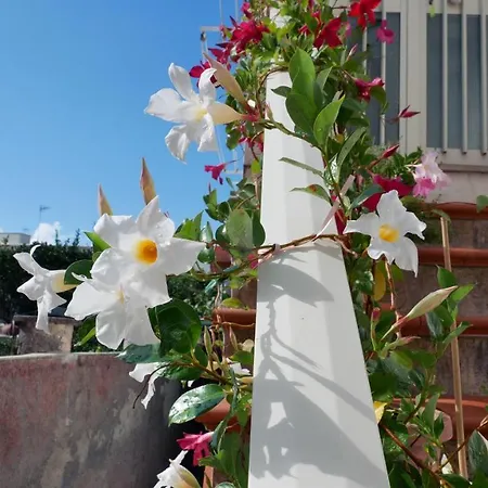 Casa Sunrise Anacapri (Isola di Capri)